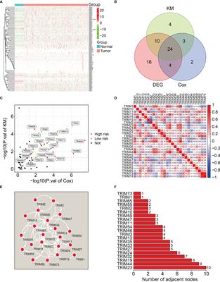 A Novel Gene Signature of Tripartite Motif Family for Predicting the Prognosis in Kidney Renal Clear Cell Carcinoma and Its Association With Immune Cell Infiltration